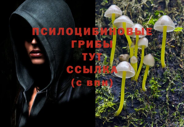 COCAINE Алексеевка