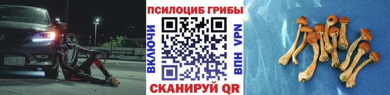 купить наркотики цена Катайск Галлюциногенные грибы GOLDEN TEACHER